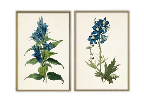 Blue Flowers Print Set Of 2 Wall Art Decor Botanical Vintage Etsy