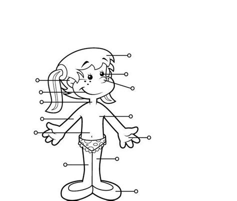 Print Map Quiz PARTES DEL CUERPO HUMANO