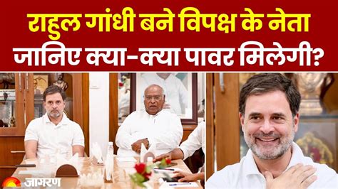 Rahul Gandhi बने Lok Sabha में Leader Of Opposition Lop बनने के बाद