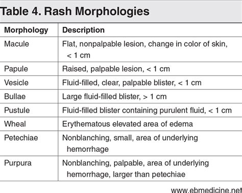 Skin Rash Grading