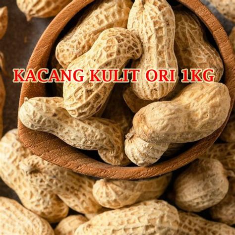 Jual Kacang Kulit Oven Ori Gram Kacang Kulit Kg Shopee Indonesia