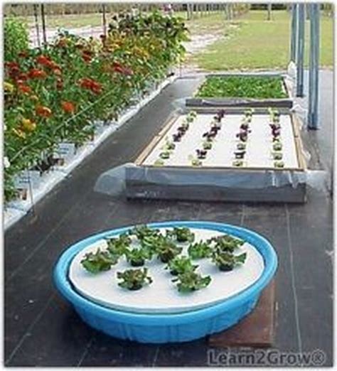 Hydroponic Gardening For New Beginners Hydroponic Gardening Hydroponics Diy Gardening For