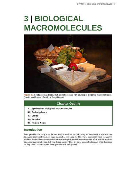 Chapter 4 Biological Macromolecules Biol 1301 Uopeople Studocu