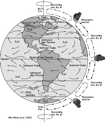 Tropical Cyclones