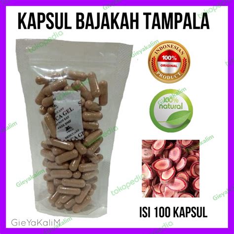 Jual Kapsul Bajakah Isi Asli Original Shopee Indonesia