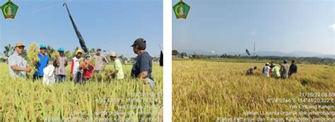 Suksesnya Farmer Field Day Sekolah Lapangan Gerakan Tani Pro Organik