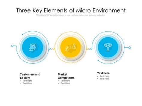 Three Key Elements Of Micro Environment Ppt Powerpoint Presentation