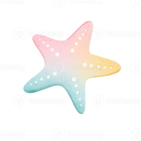 Vistoso Estrella De Mar Dibujos Animados Dibujo 31393613 PNG