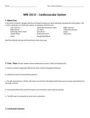 Worksheet 5 Name Time Date Of Section NPB 101 D Cardiovascular