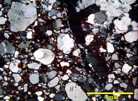 Thin Section Photomicrograph With Times Magnification Showing A