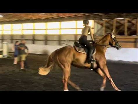 Jolene Scholl 2 6 Hunter Course 8 13 2023 YouTube