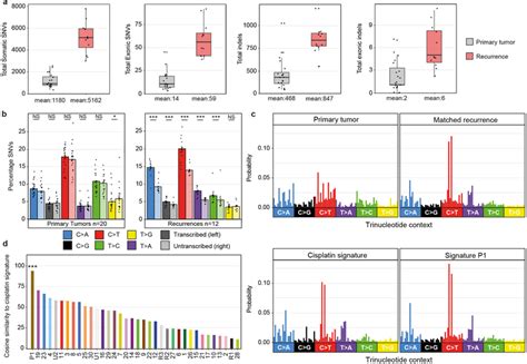 The Molecular Landscape Of Etmr At Diagnosis And Relapse Pmc