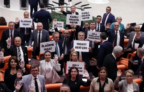 Sokak hayvanları düzenlemesi Meclis ten geçerek yasalaştı CHP kanunu