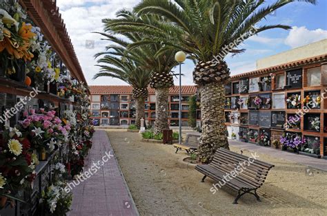 Cemetery Lalfas De Pi Albir Alicante Editorial Stock Photo Stock