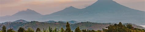 Volcanoes National Park Rwanda Roots Tours Travel