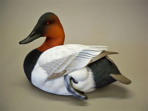 Duck Decoy Patterns