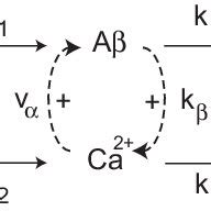 Schematic Representation Of The Minimal Model Describing The Interplay