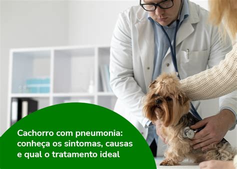 Cachorro Pneumonia Sintomas Causas E O Tratamento Ideal