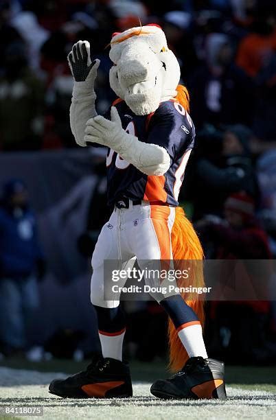 Denver Broncos Mascot Photos and Premium High Res Pictures - Getty Images