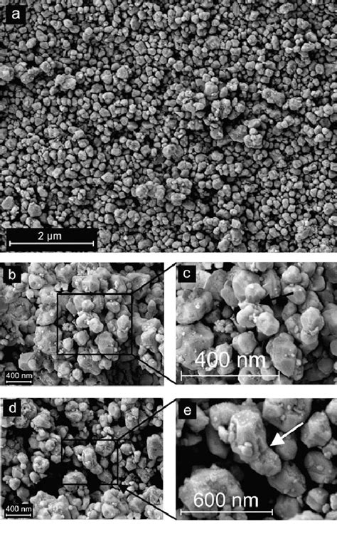 Field Emission Scanning Electron Microscope Images Zeiss Gemini Of