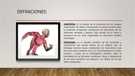 Introduccion A La Anatomia Y Planos Anatomicos Pptx