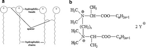 Schematic Representation Of Gemini Surfactants A Model Of The