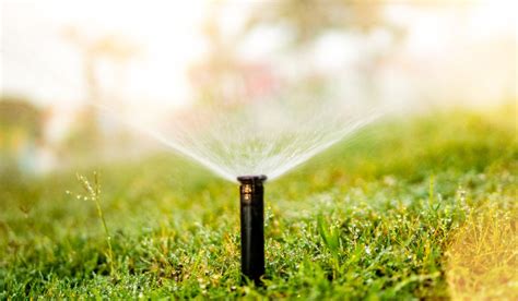 How To Adjust Rain Bird Pop Up Sprinkler Heads