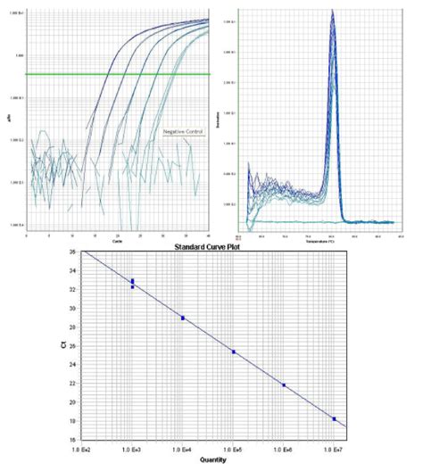 | Labcompare Product Review. Easy to use Real-time PCR machine with ...