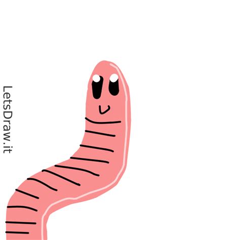 How To Draw Earthworm Letsdrawit