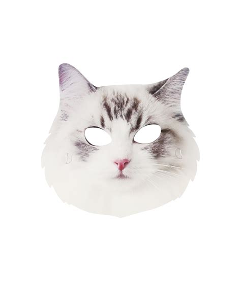 Cat Paper Mask 6pk – LookSharpStore