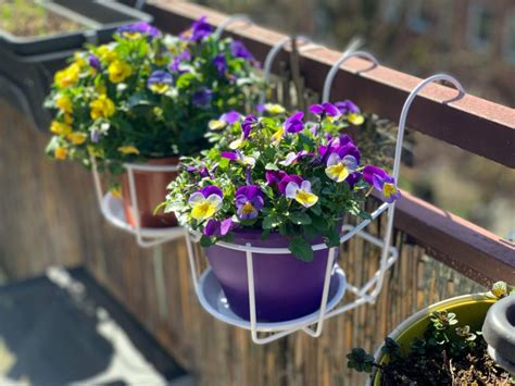 14 Amazing Balcony Planters For 2023 Storables