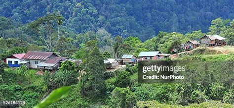 158 Orang Asli Village Stock Photos, High-Res Pictures, and Images ...