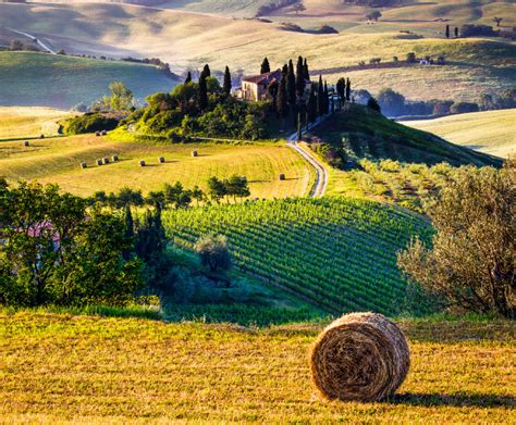 GITAV Trekking Nel Parco Della Maremma