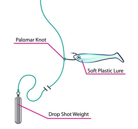 How To Fish For Bass With Drop Shot Rigs