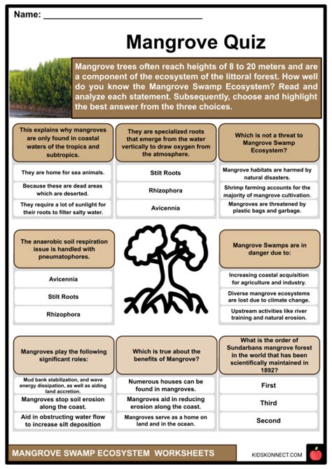 Mangrove Worksheets | Ecosystem, Adaptations, Threats, Status