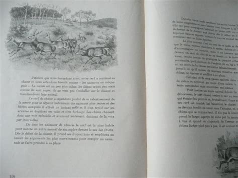 Animaux De Venerie Et Chasse Aux Chiens Courants I Histoire De La