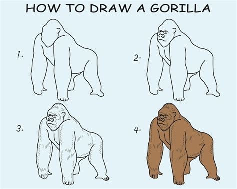 Paso A Paso Para Dibujar Un Gorila Tutorial De Dibujo De Un Gorila