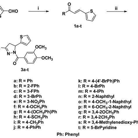 Scheme 1 Synthesis Of Compounds 3a 3t Reagents And Conditions I 5