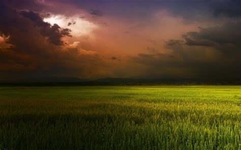 Sunlight Landscape Women Outdoors Sunset Nature Grass Field