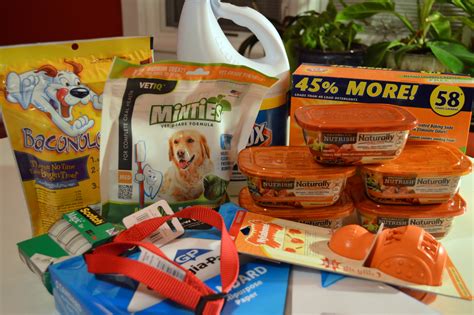 Top 10 Items To Donate To Your Local Animal Shelter