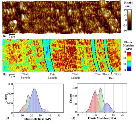 Figure 3 From Elasticmodulusmapping For Bovine Cortical Bone From