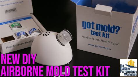 DIY Mold Test Kit GOT MOLD Inexpensive And Fast Home Diagnostic For