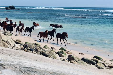 Menjelajahi Keindahan Pantai Sumba Dan Budaya Uniknya Dalam Sekali