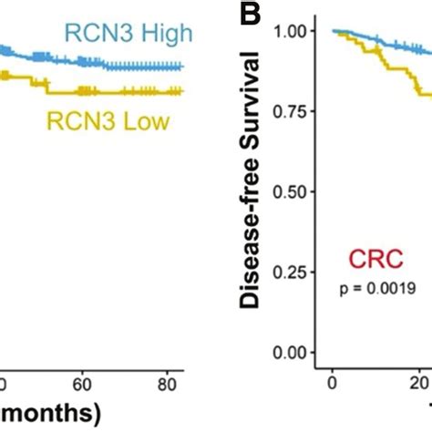 Survival Analysis A Association Between RCN3 Expression And Overall