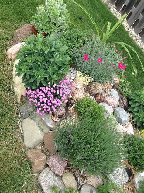 Rock garden landscaping, Rock garden, Landscaping with rocks