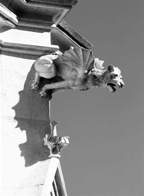 Gargoyle Shadow Varia Curiosa Et Memorabilia