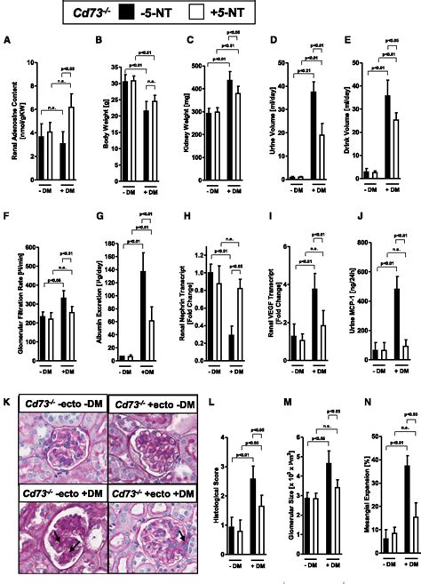 Figure From Cd Dependent Generation Of Adenosine And Endothelial