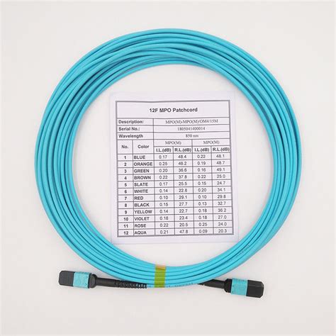 Hochiry Mpo Mtp Trunk Cable 12 Fibers Type B Multimode Om4 Fiber Patch Cord