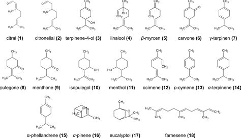 Volatile Terpenoids As Potential Drug Leads In Alzheimers Disease