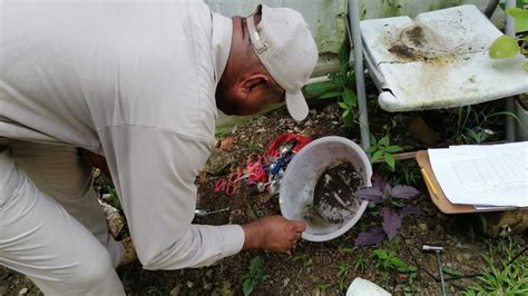 Casos de dengue en Panamá van en aumento en el 2023 Panamá en Minutos